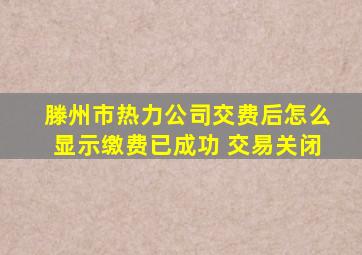 滕州市热力公司交费后怎么显示缴费已成功 交易关闭